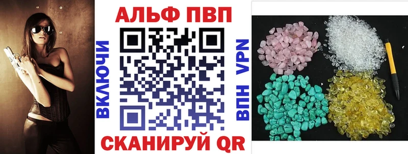 A PVP СК  Нижневартовск 