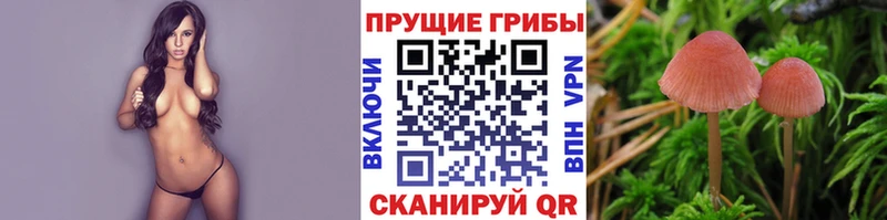Галлюциногенные грибы ЛСД OMG вход Нижневартовск